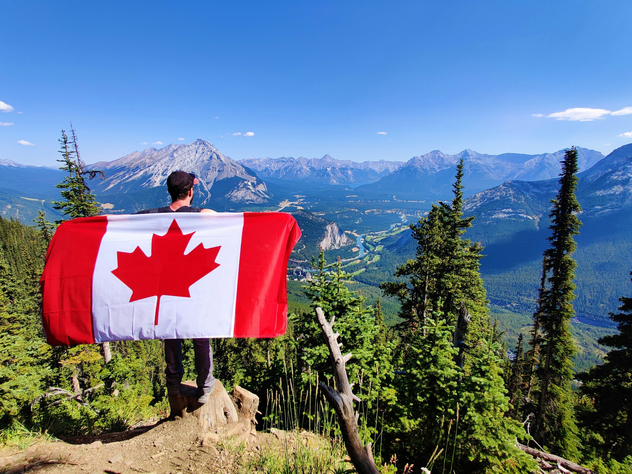 Received a Procedural Fairness Letter from IRCC? Here’s Exactly What To Do